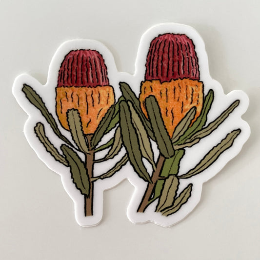 Banksia - Transparent Vinyl Sticker