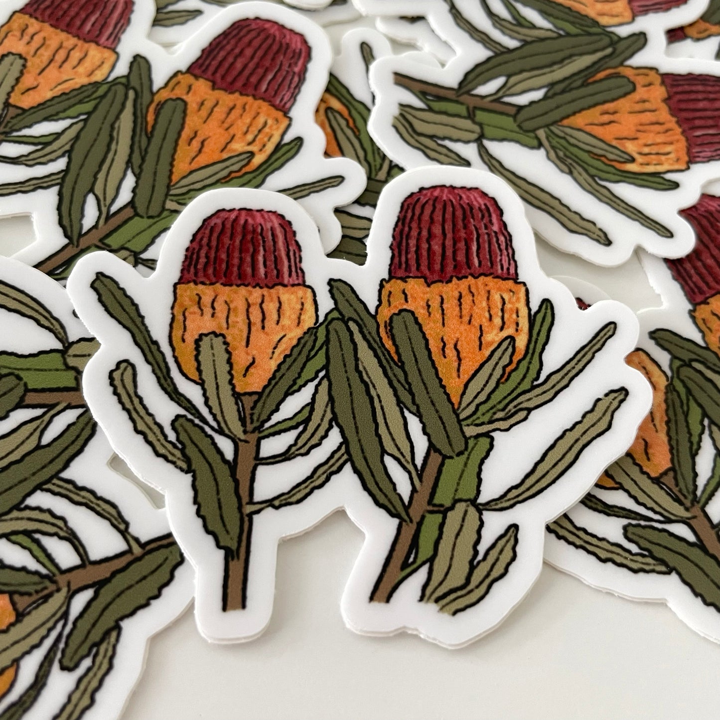 Banksia - Transparent Vinyl Sticker