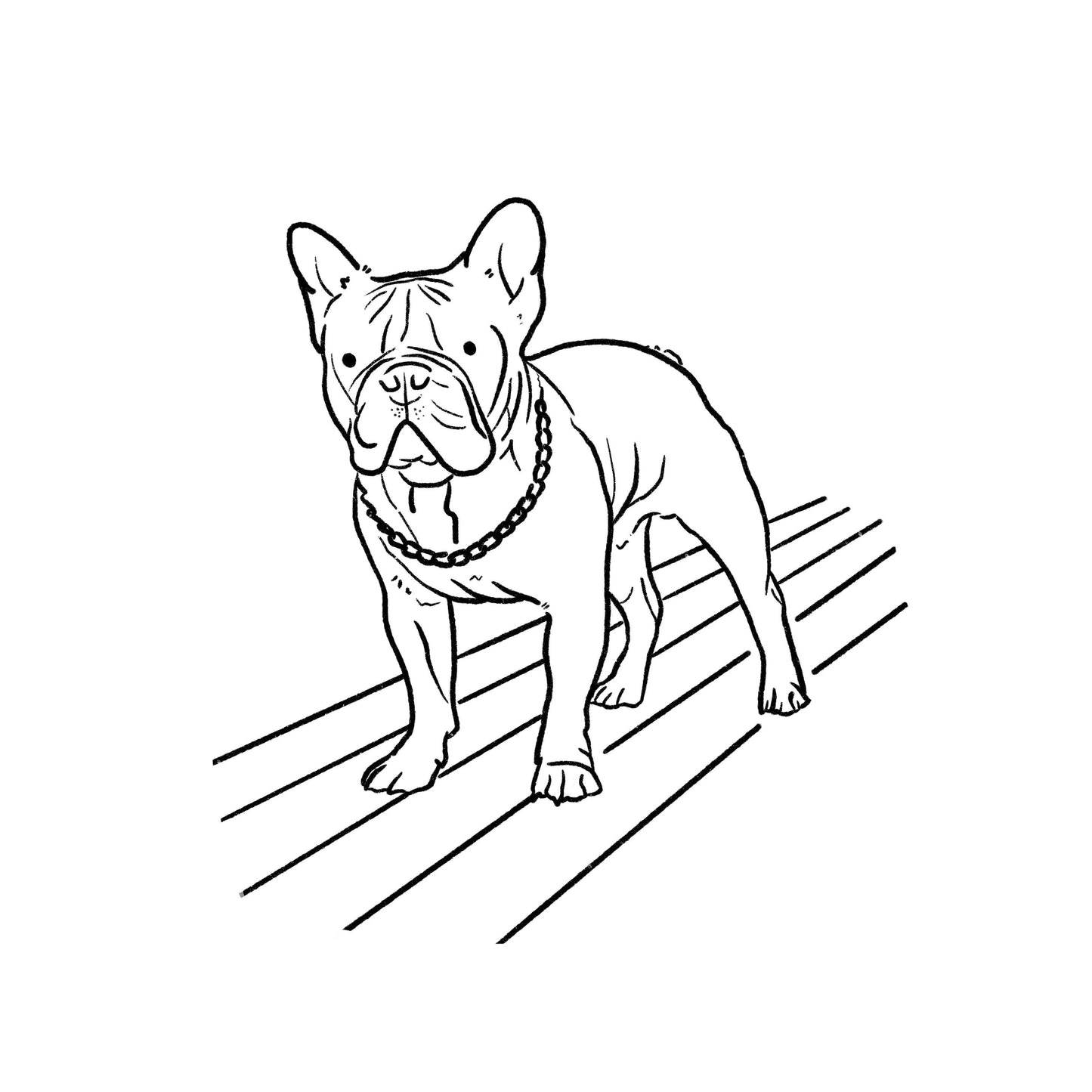 Custom Pet Portraits