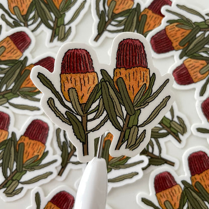 Banksia - Transparent Vinyl Sticker