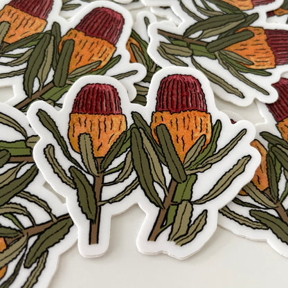 Banksia - Transparent Vinyl Sticker