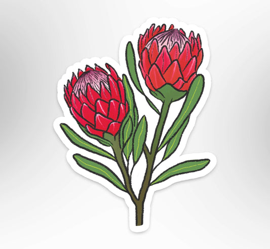 Protea - Transparent Vinyl Sticker